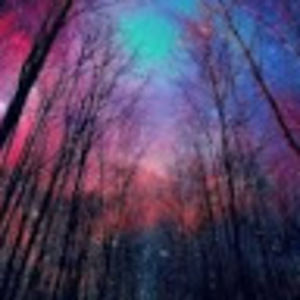 Meet your Posher, Mj